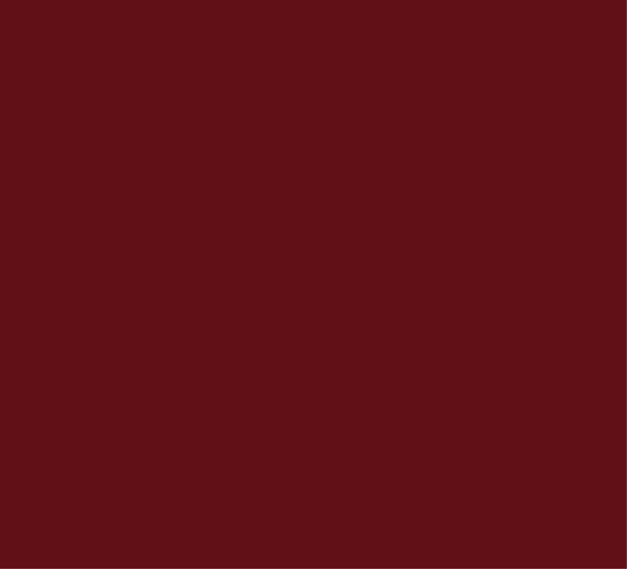 Long sleeve bordeaux